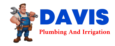 Trusted plumber in CONETOE